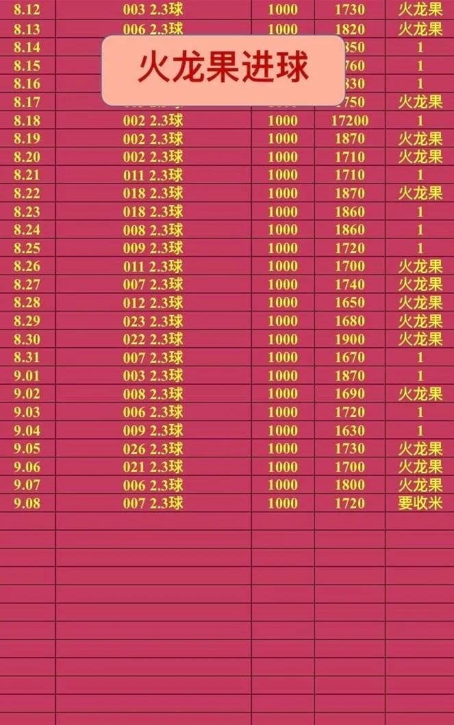 火龙果赛事分析